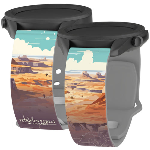National Parks Petrified Forest HD Watchband for Samsung, Garmin, Fossil, and More