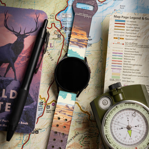 National Parks Petrified Forest HD Watchband for Samsung, Garmin, Fossil, and More