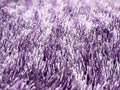 DaDa Bedding Shaggy Soft Door Mat Carpet Rug - 20" x 32" Striped Shiny Purple Lavender