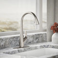 Kohler Lir Pull-down Kitchen Faucet  Stainless Steel