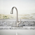 Kohler Lir Pull-down Kitchen Faucet  Stainless Steel