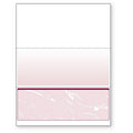 DocuGard 8 1/2x11 24 Lbs. Standard Security Business Bottom Checks 2500