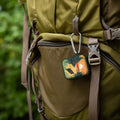 National Parks Voyageurs HDX Apple Airpods Gen 1 & 2 Case Cover