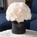 Essence Black Superdome Box | White Roses