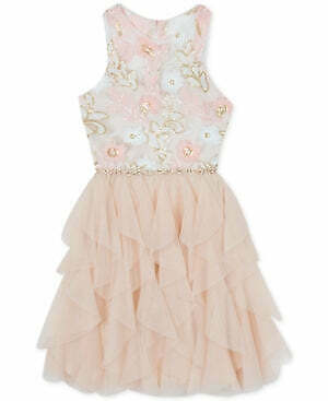 Rare Editions Big Girls Plus-Size Sequin Embroidered Dress