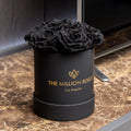 Essence Black Box | Black Roses