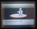 Pokemon Hyetology GBA ROM Hack Video Game Custom Gameboy Advance