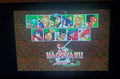 Samurai Shodown Sega Genesis Mega Drive Video Game Cartridge 1994