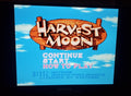 Harvest Moon SNES Video Game Cartridge Super Nintendo 1997