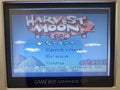 Harvest Moon 2 GBC Gameboy Color Video Game Cartridge Game Boy 2000