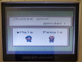 Harvest Moon 2 GBC Gameboy Color Video Game Cartridge Game Boy 2000