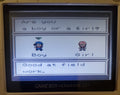 Harvest Moon 3 GBC Game Boy Color Video Game Cartridge 2001