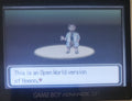 Pokemon R.O.W.E GBA Custom Pokemon ROM Hack Video Game Boy Advance