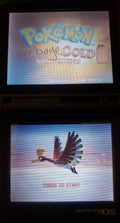 Pokemon GarbageGold NDS Nintendo DS Custom ROM Hack Video Game