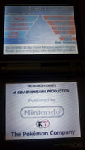 Pokemon Conquest Twin Dragons NDS Nintendo DS ROM Hack Video Game
