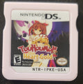 Pokemon Touhoumon HeartGold NDS Nintendo DS Custom ROM Hack Video Game