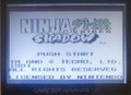 Ninja Gaiden Shadow GB Video Game Catridge Gameboy 1991