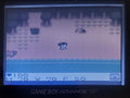 Survival Kids 1 GBC Video Game Catridge Gameboy Color 1999