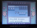 Pokemon Yellow Legacy GBA ROM Hack Video Game Boy Advance