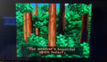 Chameleon Twist 2 N64 Nintendo 64 Video Game Cartridge 1999