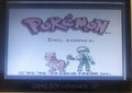Pokemon Zard Version GBC Video Game Gameboy Color ROM Hack