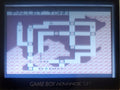 Pokemon Roaming Red GBC Video Game Gameboy Color ROM Hack