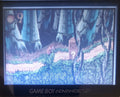 Crash Bandicoot XS GBA Video Game Cartridge Game Boy Advance 2002 UKV