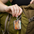 National Parks Petrified Forest HDX Apple Airpods Pro 1 & 2 Case Cover