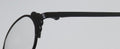 Harry Lary's Twiggy Eyeglasses