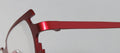 Harry Lary's Terrory Eyeglasses