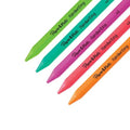 Paper Mate Handwriting Triangular Mechanical Pencil Set, Lead/Eraser, 1.3mm