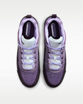 Nike SB Air Max Ishod - Grand Purple