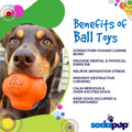 Crazy Bounce Rubber Dog Chew Toy for Power Chewers | Retrieving Ball | USA Made