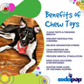 Diamond Ring Nylon Teething Ring for Puppies | Durable & USA Made