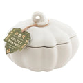 Northern Lights Ceramic 9 oz. Pumpkin Candle