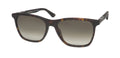 Police Spl872 Origins 1 Sunglasses