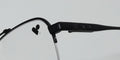 Flexon Shinola 21000 Eyeglasses