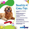 Candy Cane Nylon Dog Toy for Aggressive Chewers | USA Made | SodaPup