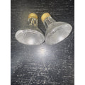 Replacement Bulb 50PAR20/H/FL, 120V 50W (2-Pack)