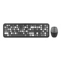 Wireless Keyboard and Mouse Combo - Full-Size Keyboard Black/Gray Keys