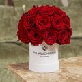 Essence White Superdome Box | Red Roses