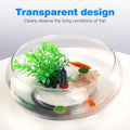 BESPORTBLE Transparent Desktop Aquarium Tank 9.52x9.52x3.93in 2800ml Plastic