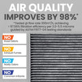 Spearhead Odor Defense Breathe Easy Cabin Filter, up to 25% longer, (BE-134)