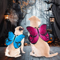 Coppthinktu Butterfly Wings Dog Cat Costume Blue Felt with 3 Flowers Size L