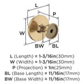 Amerock Champagne Bronze Cabinet Knob 1-3/16in 10 Pack Zinc Hardware