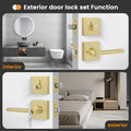 Goldenwarm Gold Dummy Door Handles Brushed Brass Levers 3 Pack