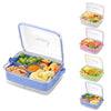 Hegrish Fruit Ice Serving Tray Clear Light Blue 4 Compartments with Lid