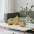 winemana Fall Decorations Set of 3 Gold White Resin Pumpkins Woven Design