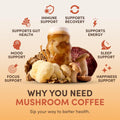 Mushroom Coffee – Premium Organic Mushroom Coffee Blend with Adaptogens for Focus, Energy & Immunity