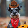 PEUTIER Pet Cowboy Costume Dog Hat & Bandana Brown Red Small
